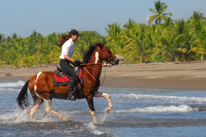 Beach riding in Costa Rica